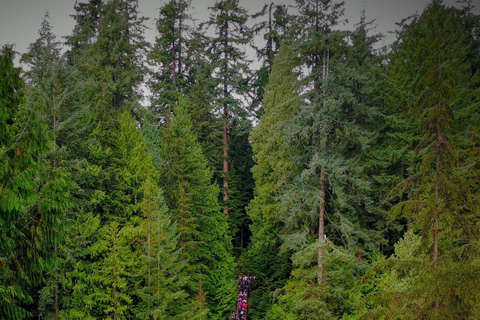 Vancouver: Capilano Bridge & Grouse Mountain All Inclusive