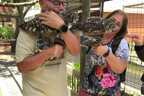 Cheetah, Giraffes Encounter, lion's park, and Wine Tasting