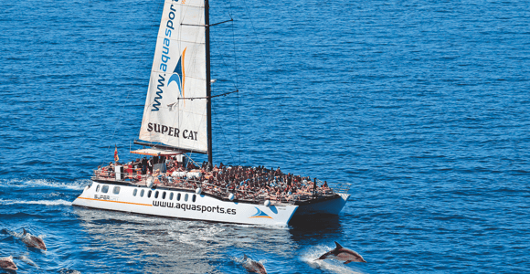 Puerto Rico : 2 hour Dolphin Catamaran Excursion
