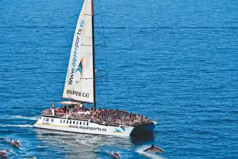 Puerto Rico : Excursion de 2 heures en catamaran avec les dauphins