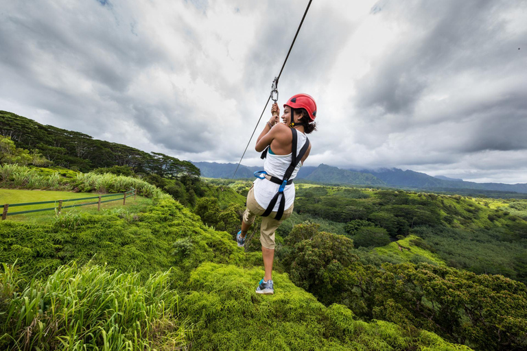 Ubud: Avventura in zip-line, rafting e tour delle terrazze di risoTour con zip-line e terrazze di riso (senza rafting)