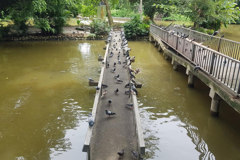 Chiang Mai:Wat Phra That Doi Suthep & Wat Umong Evening Tour Chiang Mai: Wats Phra That Doi Suthep & Umong Evening Tour