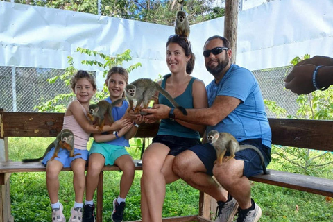 Puerto Plata: Countryside tour with Monkey Home, butterflies, and coffee