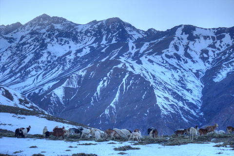 Depuis Santiago : Visite guidée du Cerro San Gabriel en trekking