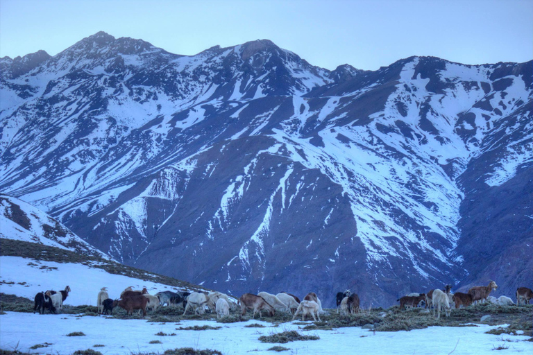 Depuis Santiago : Visite guidée du Cerro San Gabriel en trekking