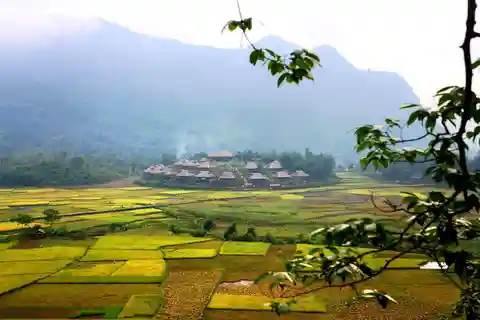 From Hanoi: Mai Chau Valley Day Trip with Cycling