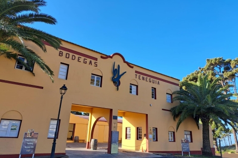 La Palma: Bodegas Teneguia Weinkeller Tour mit Weinverkostung