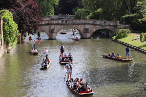 Cambridge: Private Punting Tour mit Chauffeur