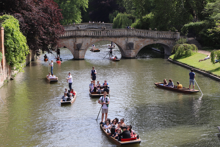 Cambridge: Private Punting Tour mit Chauffeur