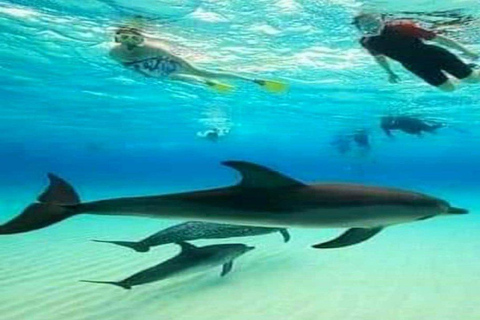 Delfiny i nurkowanie z rurką na Zanzibarze: wycieczka na wyspę MnembaDelfiny i snorkeling na Zanzibarze: wycieczka na wyspę Mnemba