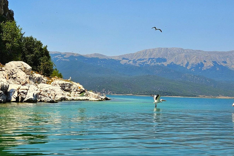 Day trip to Pelican Island on the Prespa Lake