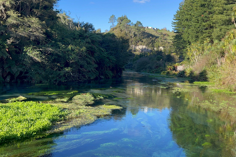 EXCLUSIVE Blue Spring experience half day tour from Auckland