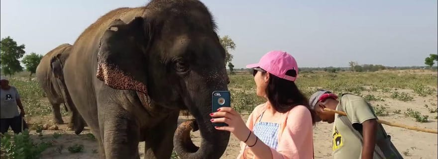Delhi : lever du soleil au Taj Mahal et visite Elephant SOS avec transferts