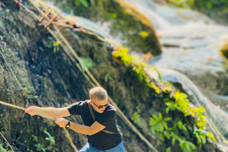 Chiang Mai Tour: Bua Tong Sticky Waterfall & Elephant Care Private tour : Sticky Waterfalls & Elephant Care in English