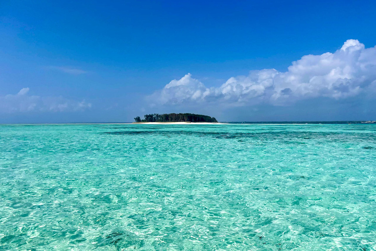 Zanzibar: Mnemba Blue Safari i spotkanie z delfinamiMnemba: delfiny i rafa – wycieczka grupowa