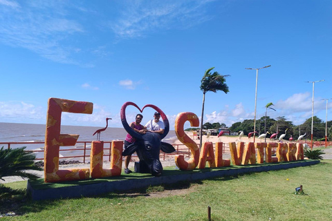 Búfalo Tour Salvaterra