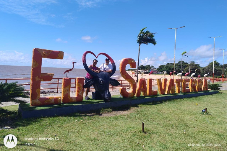 Búfalo Tour Salvaterra