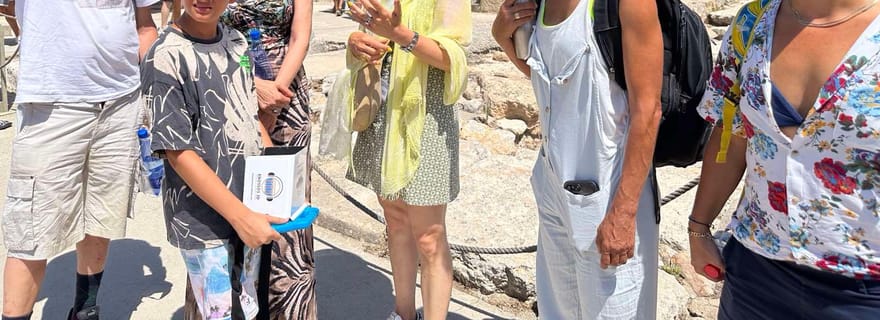 Au départ d'Héraklion : billet d'entrée au palais de Knossos et visite privée