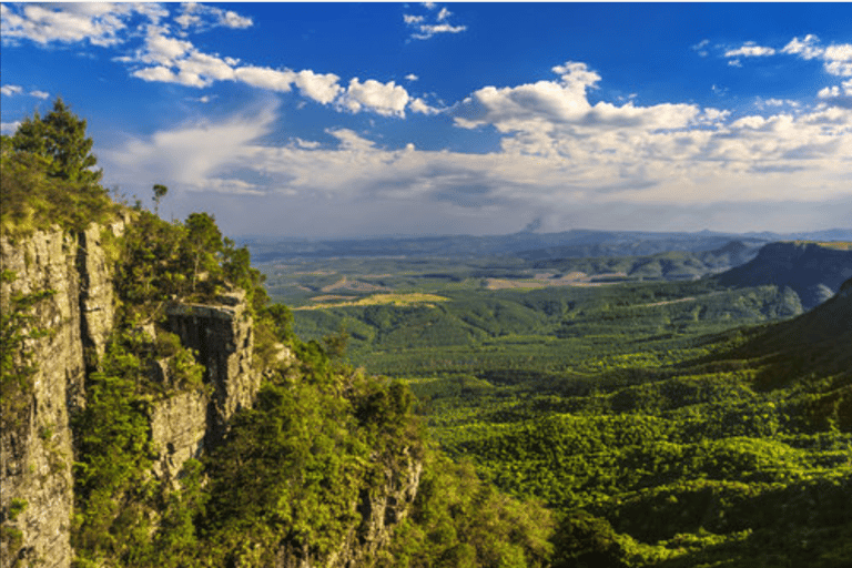 From Durban: Zulu and Nguni Isimangaliso area Village Tour
