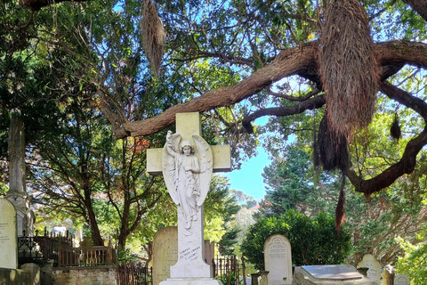 Wellington's Historical Walking Odyssey