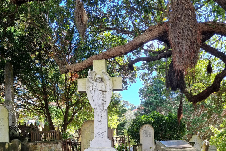 Wellington's Historical Walking Odyssey