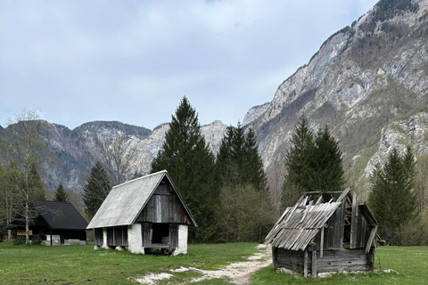 Une excursion d&#039;une journée au départ de Ljubljana : La nature magique et le lac BohinjVisite privée en espagnol