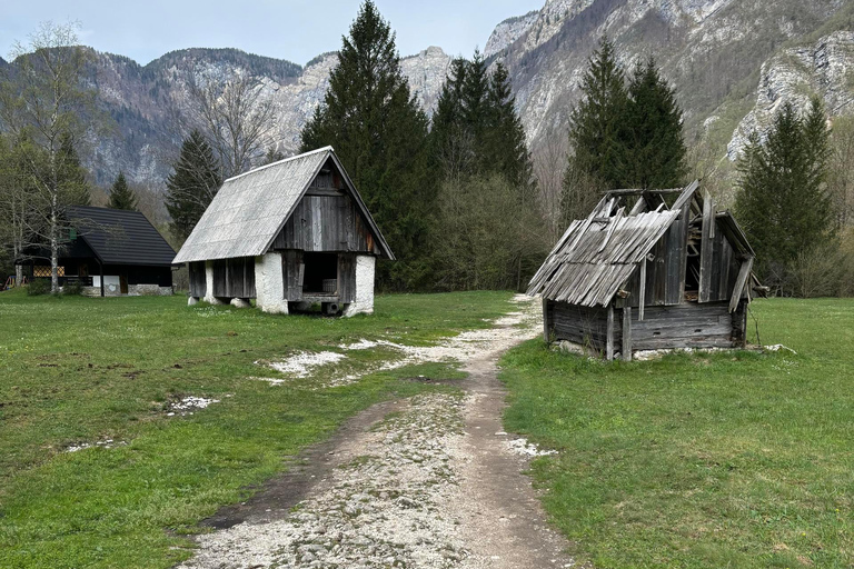 Une excursion d&#039;une journée au départ de Ljubljana : La nature magique et le lac BohinjVisite privée en espagnol