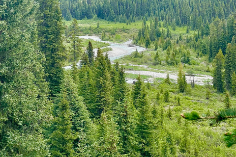 Z Calgary: Banff, jezioro Moraine i wycieczka nad jezioro LouiseOdbiór w Calgary