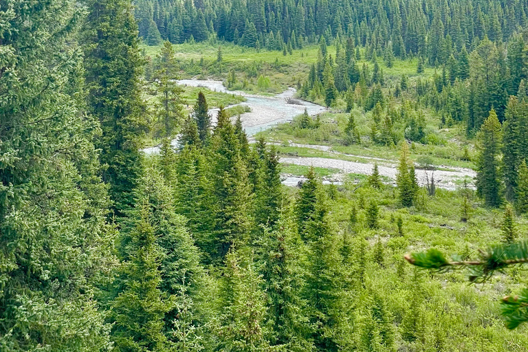 Desde Calgary Excursión a Banff, Lago Moraine y Lago LouiseServicio de recogida en Calgary