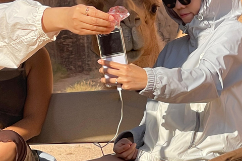 WADI RUM:FULL-DAY DESERT TOUR WITH LOCAL GUIDE, SUNSET & TEA