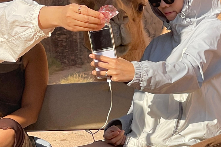 WADI RUM:FULL-DAY DESERT TOUR WITH LOCAL GUIDE, SUNSET & TEA