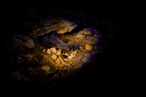 Langkawi:6 Hours Mangrove Night Safari with Pick Up & Dinner