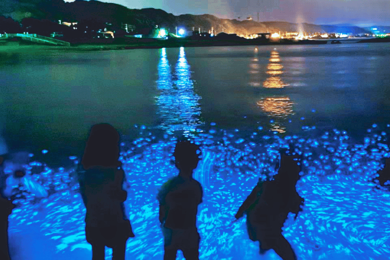 From Osaka: Awaji Island Magical Blue Sea Firefly Night Tour From Namba