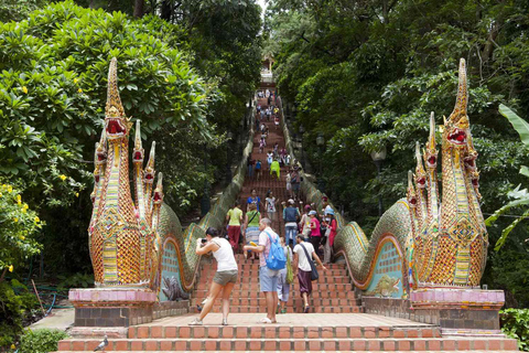 Chiang Mai: Doi Suthep Temple and Old City Walking Tour