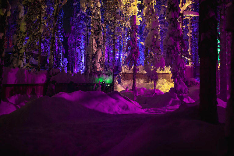 Levi: Arcandia | Outdoor Laser Tag + Park Side Outdoor Laser Tag Experience + Park Side