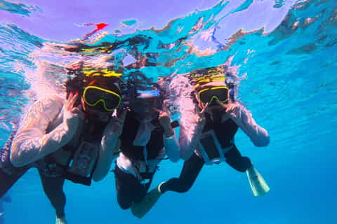 Kerama Half-Day Snorkeling Tour - Image 3