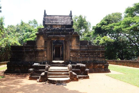 From Kandy: Sigiriya Rock, Dambulla Caves & Nalanda Heritage