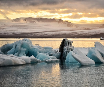 From Reykjavik: Glacier Lagoon and Fjaðrárgjúfur Canyon Tour