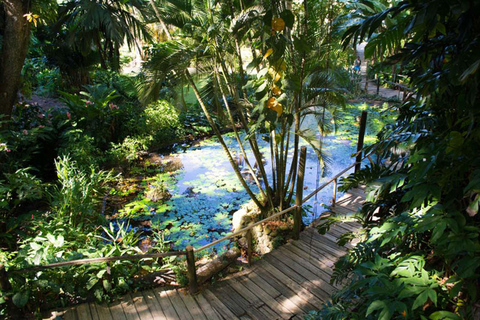 FIJI: Garden of the Sleeping Giant Tour InterContinental/Yatule/Yadua Bay/Shangri-La Pickup