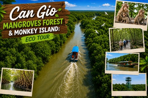 Can Gio Mangroves Forest & Monkey Island: Eco Tour - Image 2