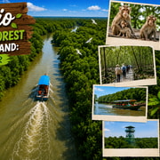 Can Gio Mangroves Forest & Monkey Island: Eco Tour