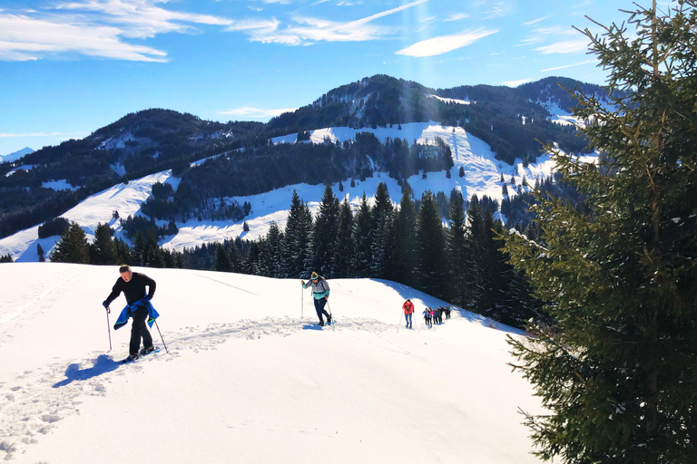 Allgäu: Aventura de senderismo con raquetas de nieve