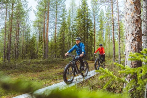 Rovaniemi: Die Natur mit dem E-Fatbike erkunden