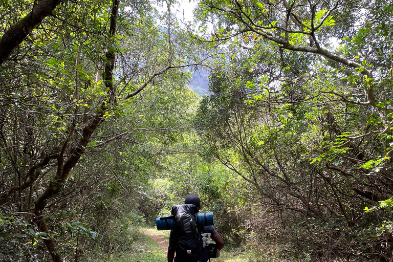From Kandy: 3-Day Knuckles Mountain Range Trek with Camping