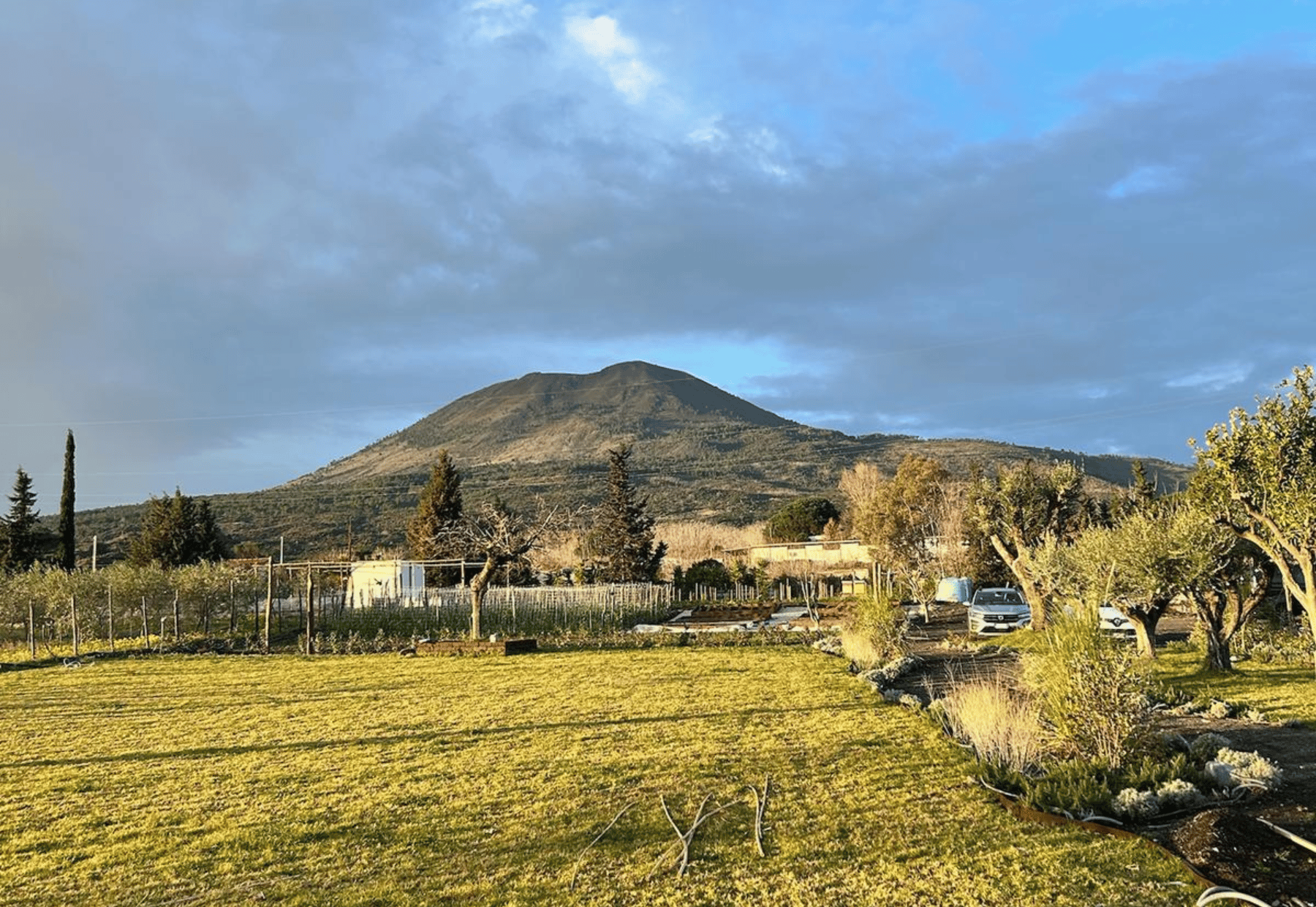 Bio-Mittagessen mit Weinverkostung ab Pompeji
