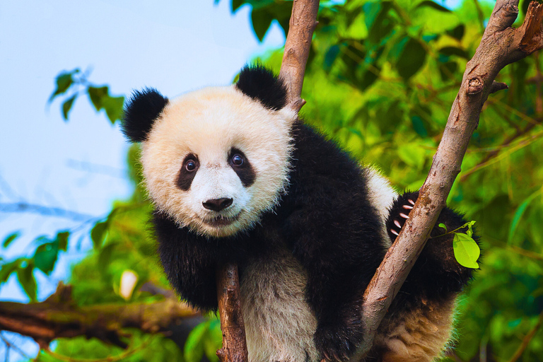 Beijing: Summer Palace Guided Tours & Top Park Combos Private Summer Palace & Old Summer Palace Park Walk Tour