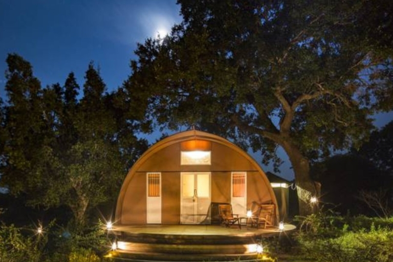 3-Day Luxury Glamping in Yala National Park