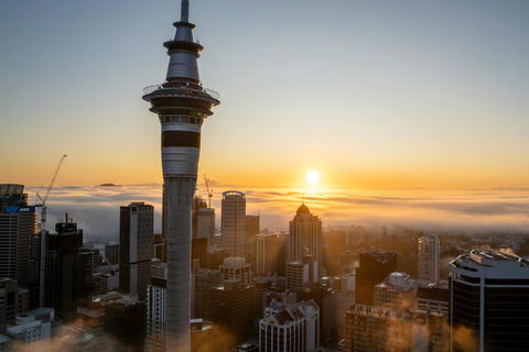 Plaża Piha: półdniowa wycieczka do Auckland