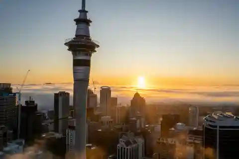 Excursão de meio dia às atracções e museus de Auckland