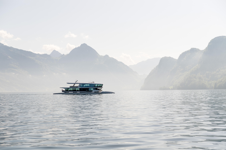 Zürich: Dagtrip naar Luzern en Bürgenstock